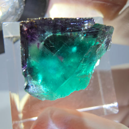 Phantom Fluorit Würfel Stufe, parkettiert grün lila Okorusu, Namibia 18*15*13mm
