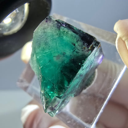 Phantom Fluorit Würfel Stufe, parkettiert grün lila Okorusu, Namibia 18*15*13mm