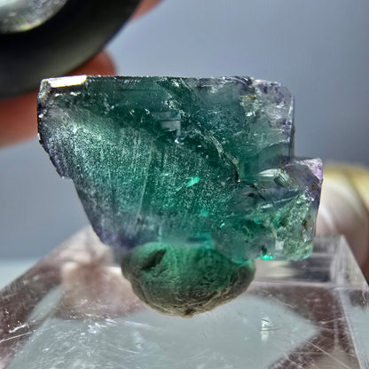 Phantom Fluorit Würfel Stufe, parkettiert grün lila Okorusu, Namibia 18*15*13mm