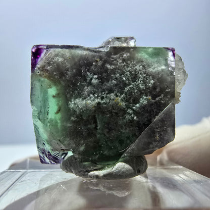 Phantom Fluorit Würfel, Quarz Stufe, grün lila Okorusu, Namibia 22*21*18mm