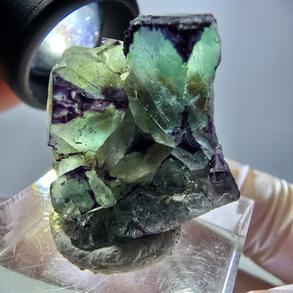 Phantom Fluorit Würfel Stufe, parkettiert, zonal Okorusu, Namibia 28*24*18mm