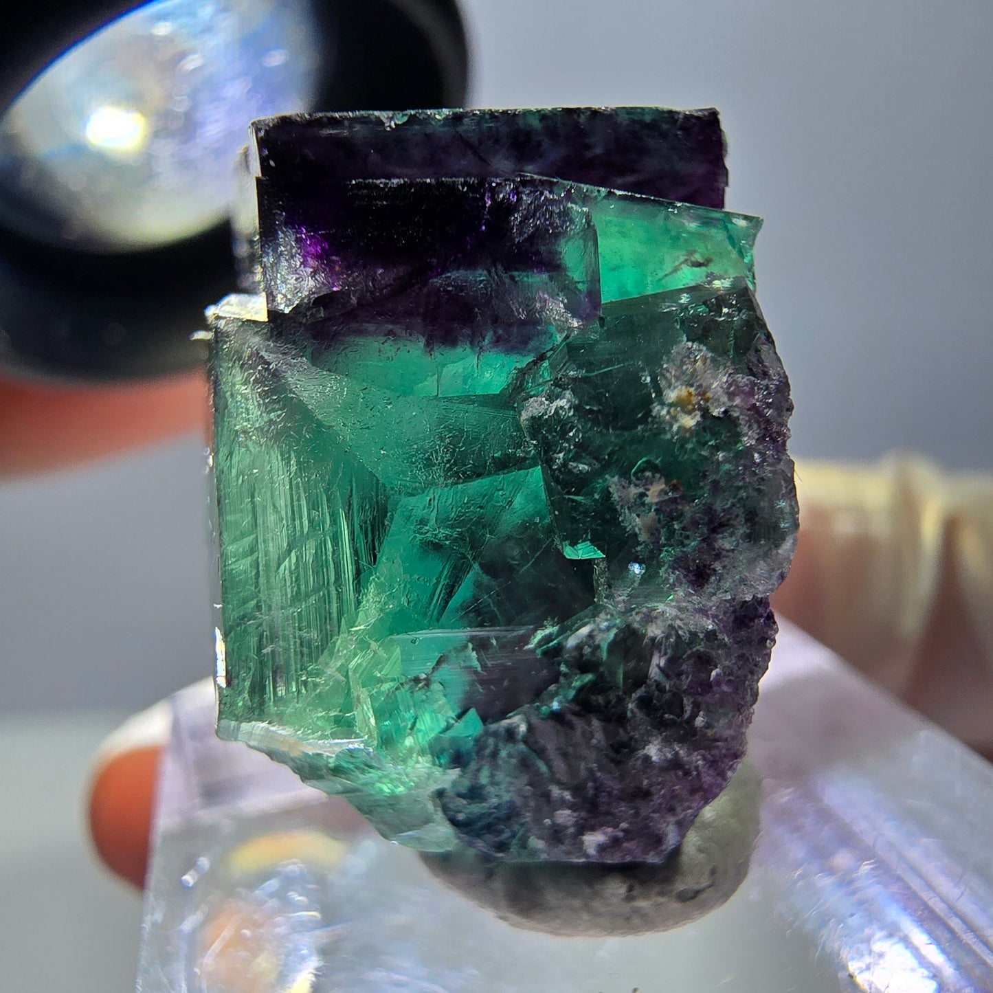 Phantom Fluorit Würfel Stufe, parkettiert grün lila Okorusu, Namibia 23*23*15mm
