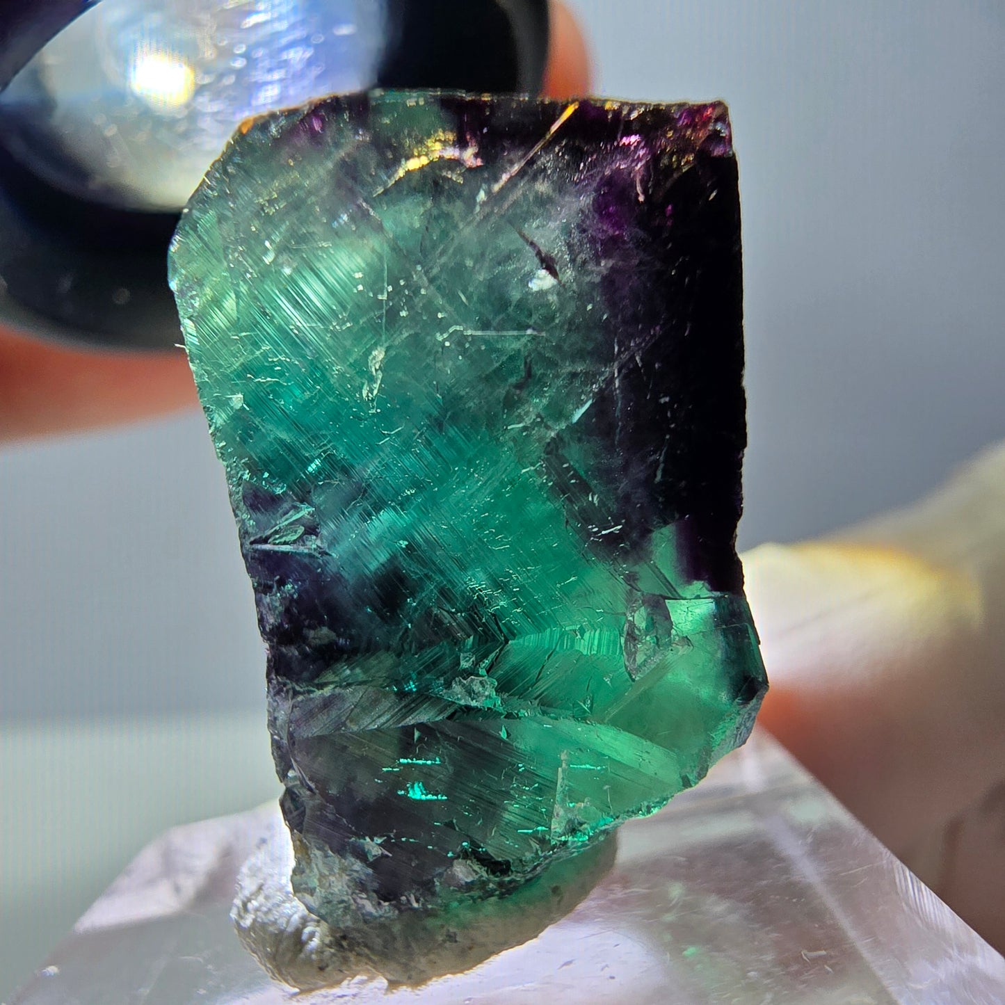 Phantom Fluorit Würfel Stufe, parkettiert grün lila Okorusu, Namibia 23*23*15mm