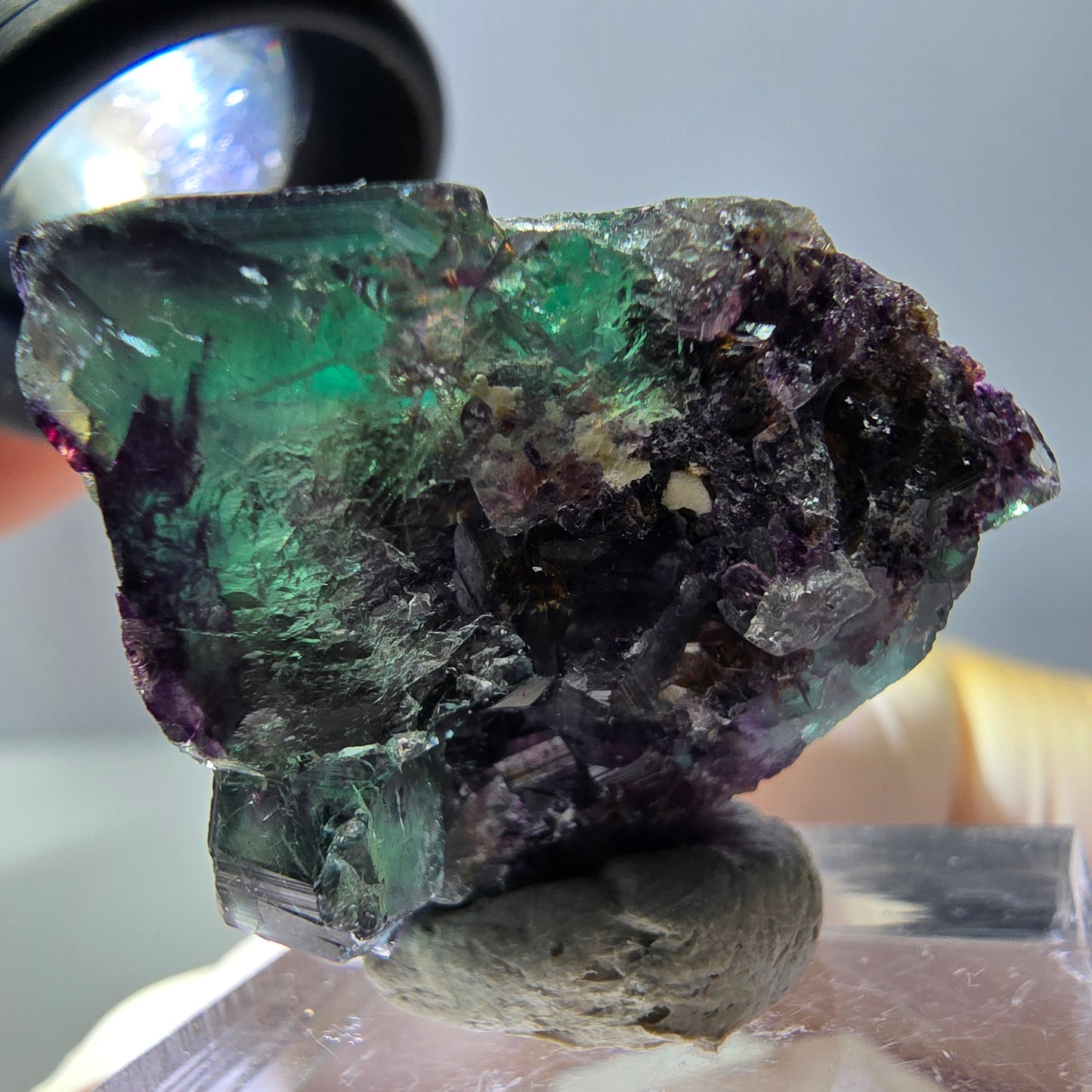 Phantom Fluorit Würfel Stufe, parkettiert grün lila Okorusu, Namibia 27*26*22mm
