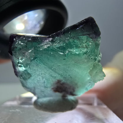 Phantom Fluorit Würfel Stufe, parkettiert grün lila Okorusu, Namibia 25*21*20mm