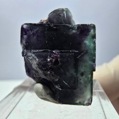 Phantom Fluorit Würfel Stufe, parkettiert grün lila Okorusu, Namibia 27*19*16mm