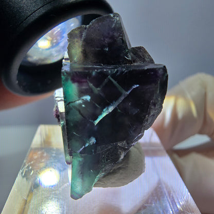 Phantom Fluorit Würfel Stufe, parkettiert grün lila Okorusu, Namibia 27*19*16mm
