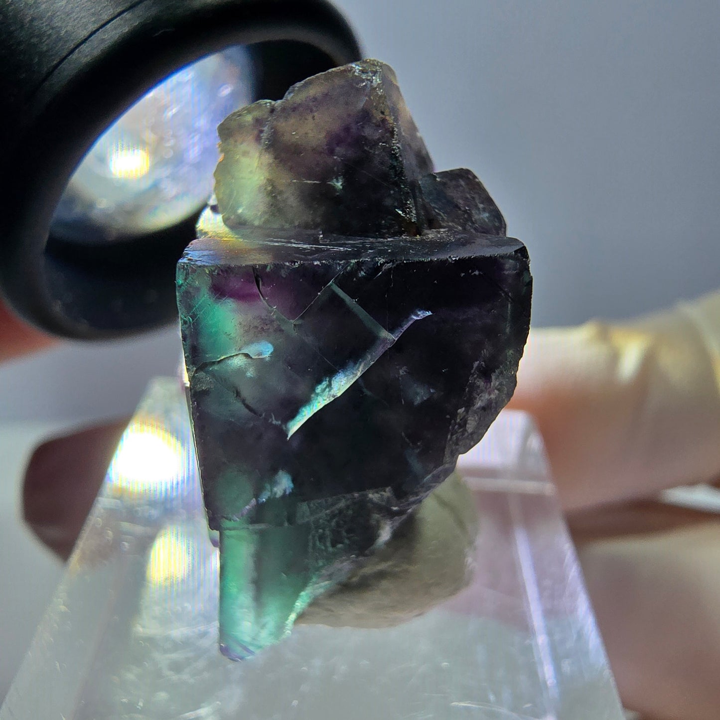 Phantom Fluorit Würfel Stufe, parkettiert grün lila Okorusu, Namibia 27*19*16mm