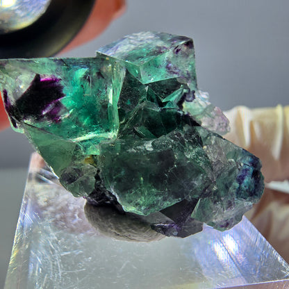 Phantom Fluorit Würfel Stufe, parkettiert grün lila Okorusu, Namibia 31*25*14mm