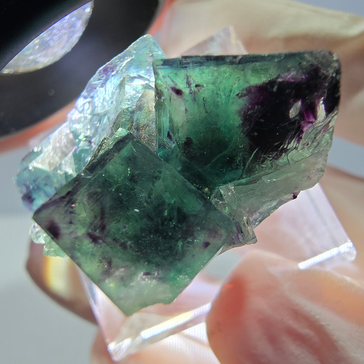 Phantom Fluorit Würfel Stufe, parkettiert grün lila Okorusu, Namibia 31*25*14mm