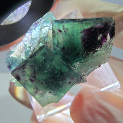 Phantom Fluorit Würfel Stufe, parkettiert grün lila Okorusu, Namibia 31*25*14mm