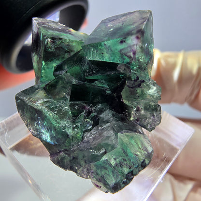 Phantom Fluorit Würfel Stufe, parkettiert grün lila Okorusu, Namibia 31*25*14mm