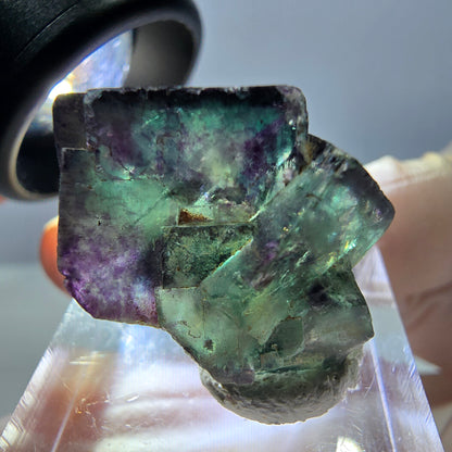 Phantom Fluorit Würfel Stufe, parkettiert grün lila Okorusu, Namibia 21*20*17mm