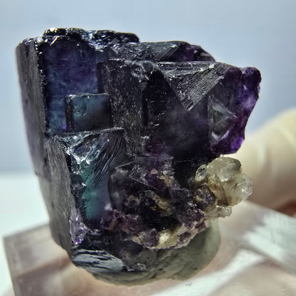 Phantom Fluorit Würfel Stufe, parkettiert grün lila Okorusu, Namibia 23*22*18mm