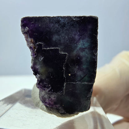 Phantom Fluorit Würfel Stufe, parkettiert grün lila Okorusu, Namibia 23*22*18mm