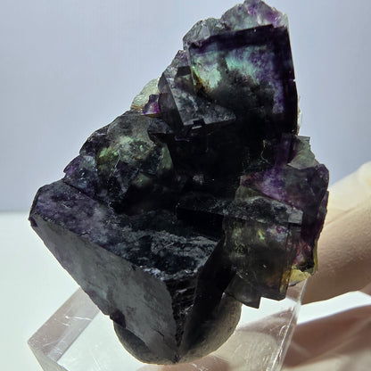 Phantom Fluorit Würfel Stufe, parkettiert grün lila Okorusu, Namibia 39*33*19mm