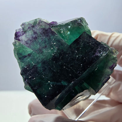 Phantom Fluorit Würfel Stufe, parkettiert grün lila Okorusu, Namibia 42*32*23mm