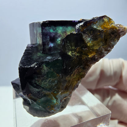 Phantom Fluorit Würfel Stufe, parkettiert grün lila Okorusu, Namibia 39*25*18mm