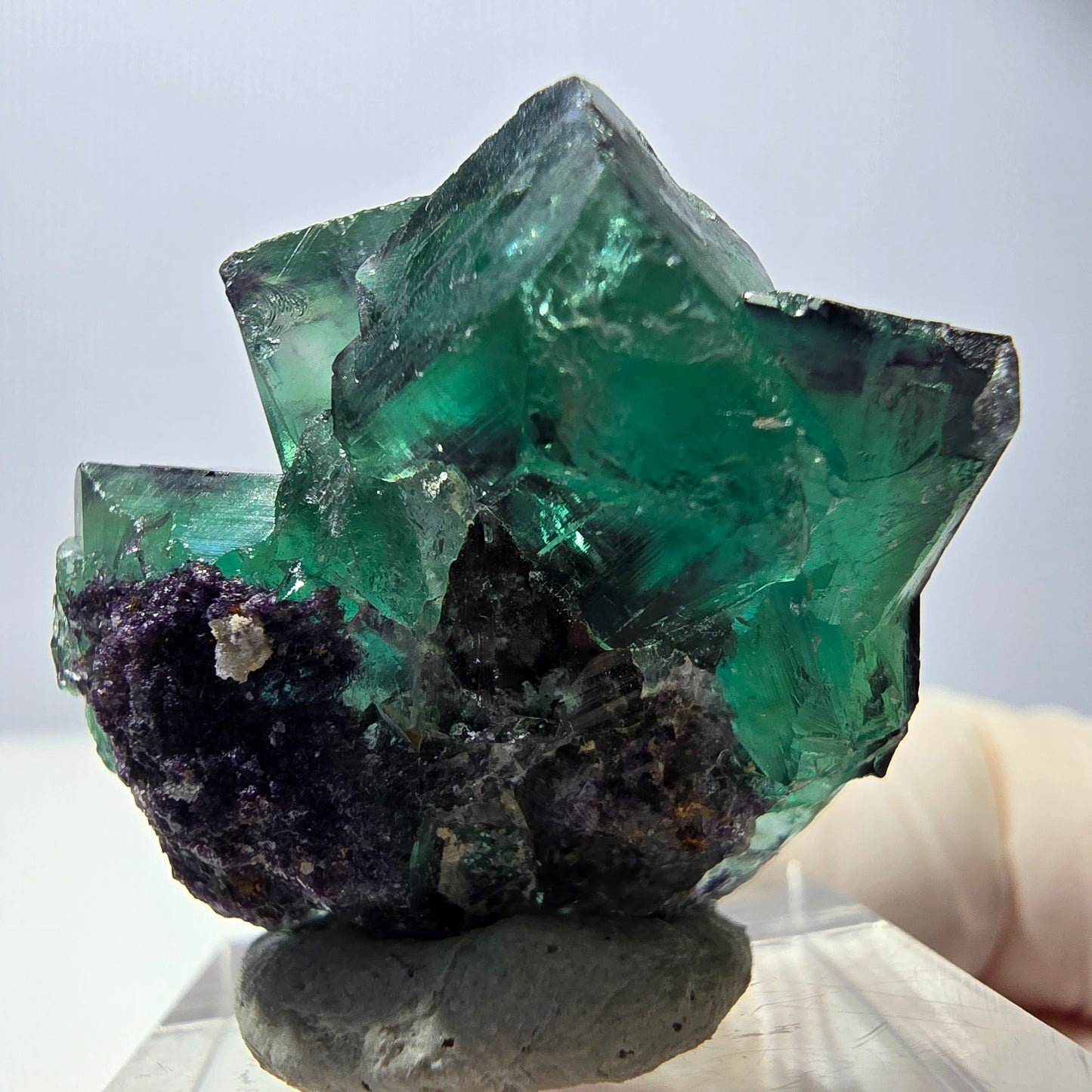 Phantom Fluorit Würfel Stufe, parkettiert grün lila Okorusu, Namibia 31*30*20mm