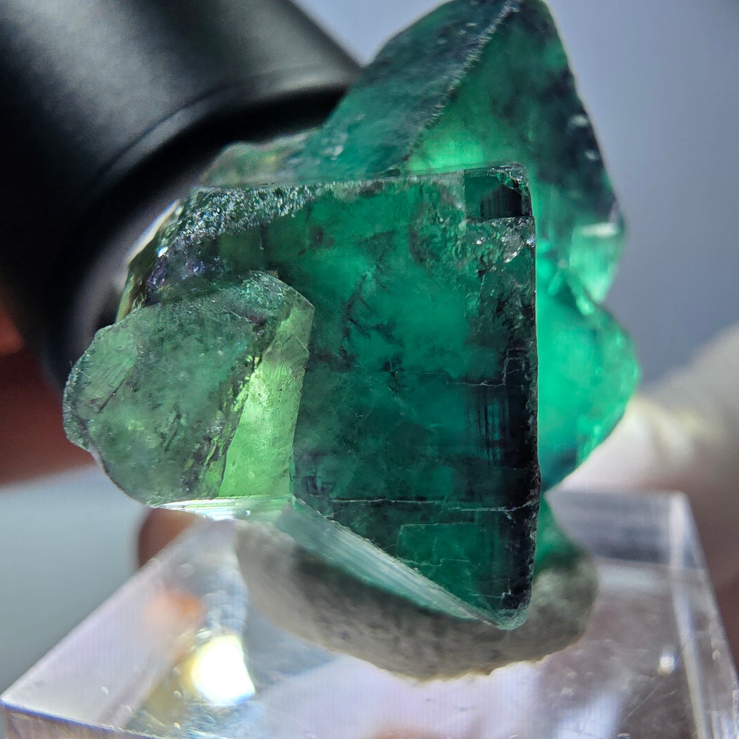 Phantom Fluorit Würfel Stufe, parkettiert grün lila Okorusu, Namibia 37*27*19mm