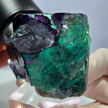 Phantom Fluorit Würfel Stufe grün lila zonal 11:11 Angel Pocket, Namibia 37*33*28mm