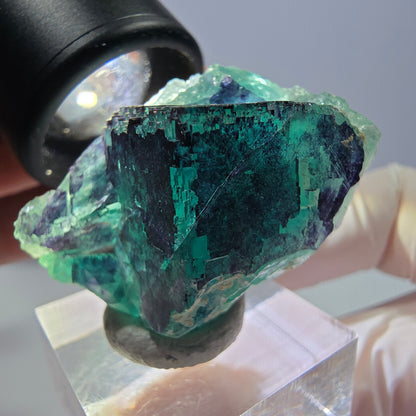 Phantom Fluorit Würfel Stufe grün lila zonal 11:11 Angel Pocket, Namibia 35*28*22mm