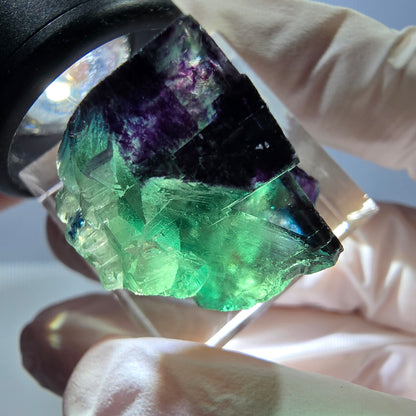 Phantom Fluorit Würfel Stufe grün lila zonal 11:11 Angel Pocket, Namibia 24*21*19mm