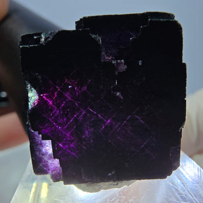 Phantom Fluorit Würfel Stufe grün lila zonal 11:11 Angel Pocket, Namibia 22*22*20mm