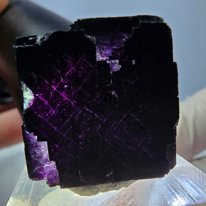 Phantom Fluorit Würfel Stufe grün lila zonal 11:11 Angel Pocket, Namibia 22*22*20mm