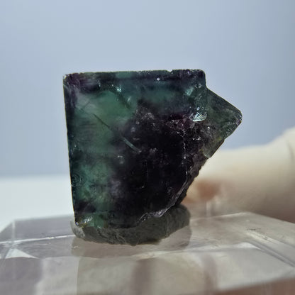 Spécimen de cube de fluorite fantôme, parqueté vert violet Okorusu, Namibie 19*18*14 mm 