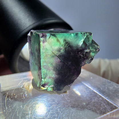 Spécimen de cube de fluorite fantôme, parqueté vert violet Okorusu, Namibie 19*18*14 mm 
