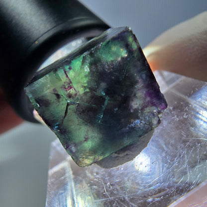 Spécimen de cube de fluorite fantôme, parqueté vert violet Okorusu, Namibie 19*18*14 mm 