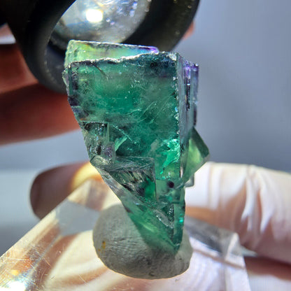 Spécimen de cube de fluorite fantôme, parqueté vert violet Okorusu, Namibie 30*26*17 mm 