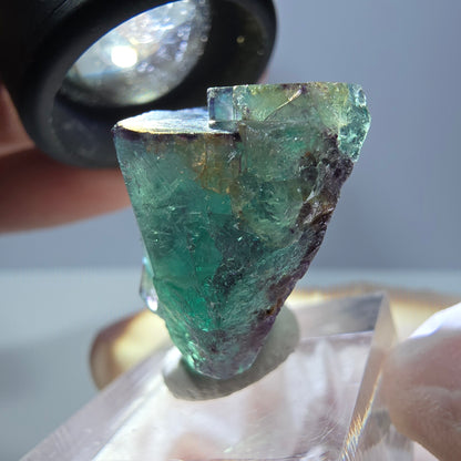 Spécimen de cube de fluorite fantôme, parqueté vert violet Okorusu, Namibie 30*26*17 mm 