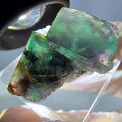 Spécimen de cube de fluorite fantôme, parqueté vert violet Okorusu, Namibie 25*24*16 mm 
