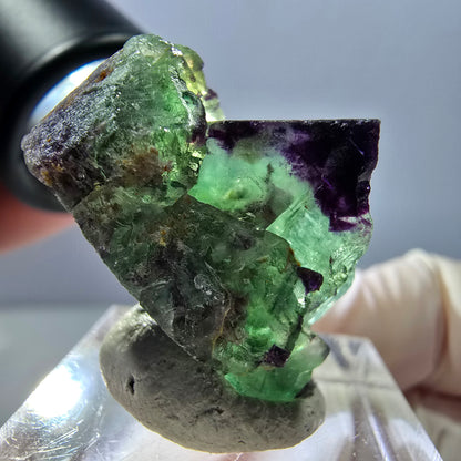 Spécimen de cube de fluorite fantôme, parqueté vert violet Okorusu, Namibie 27*25*20 mm 