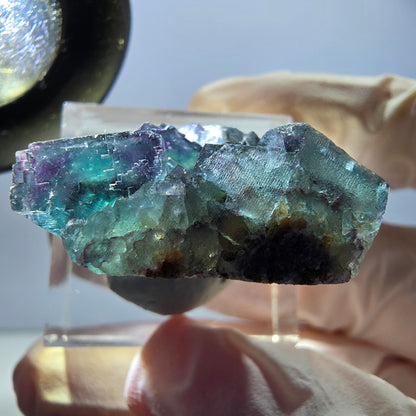 Spécimen de cube de fluorite fantôme, parqueté vert violet Okorusu, Namibie 29*21*12 mm 