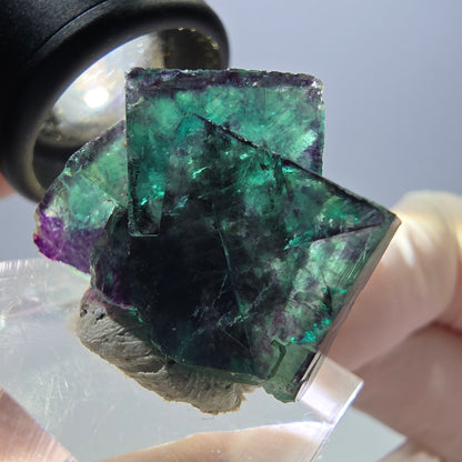 Spécimen de cube de fluorite fantôme, parqueté vert violet Okorusu, Namibie 27 x 24 x 15 mm 