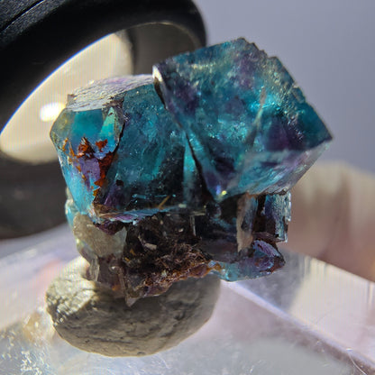 Spécimen de cube de fluorite fantôme, parqueté vert violet Okorusu, Namibie 20 x 15 x 12 mm 