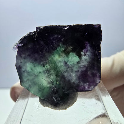 Spécimen de cube de fluorite fantôme, parqueté vert violet Okorusu, Namibie 26*22*13 mm 