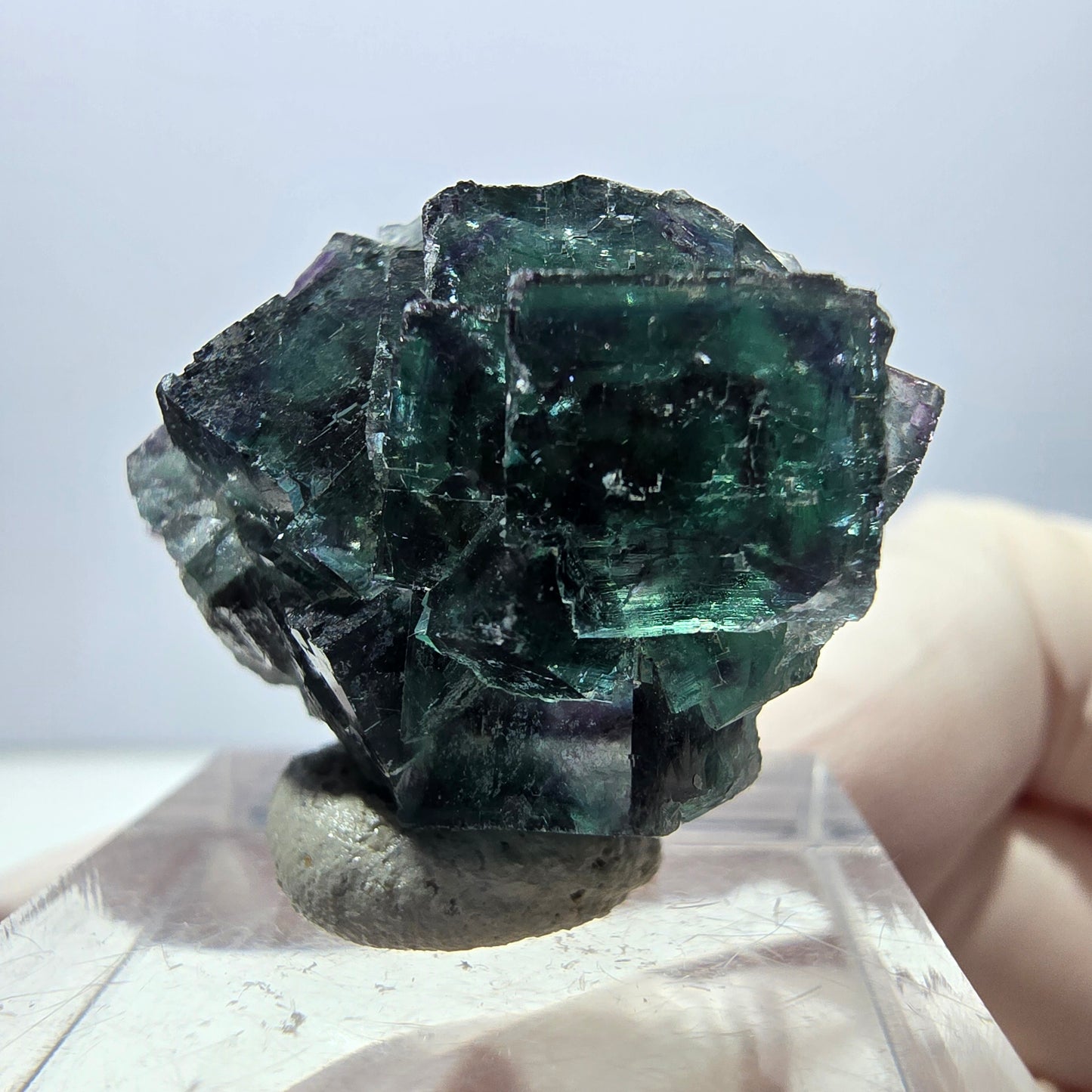 Spécimen de cube de fluorite fantôme, parqueté vert violet Okorusu, Namibie 27*24*17 mm 