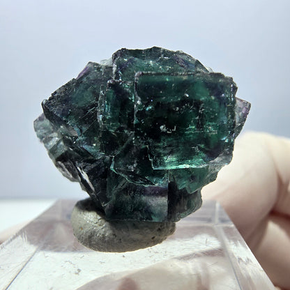 Spécimen de cube de fluorite fantôme, parqueté vert violet Okorusu, Namibie 27*24*17 mm 