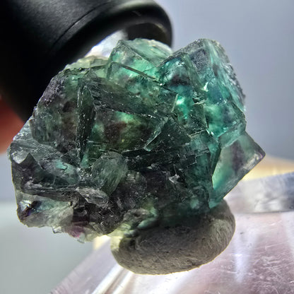 Spécimen de cube de fluorite fantôme, parqueté vert violet Okorusu, Namibie 27*24*17 mm 