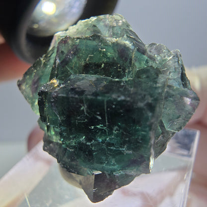 Spécimen de cube de fluorite fantôme, parqueté vert violet Okorusu, Namibie 27*24*17 mm 