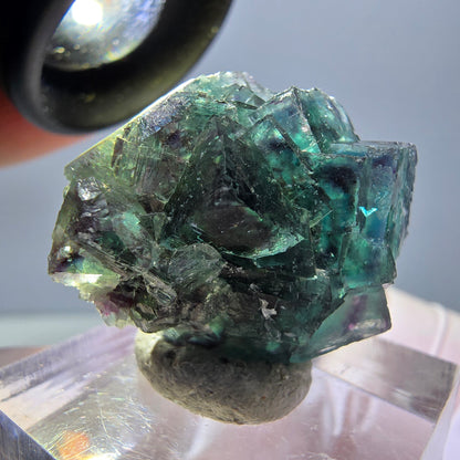 Spécimen de cube de fluorite fantôme, parqueté vert violet Okorusu, Namibie 27*24*17 mm 