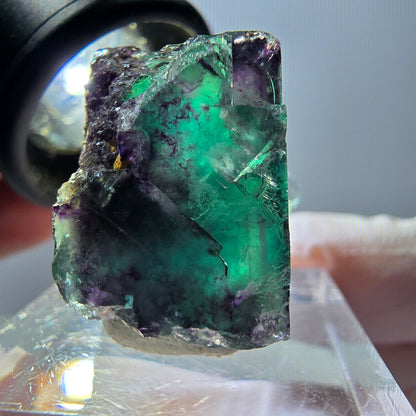 Spécimen de cube de fluorite fantôme, parqueté vert violet Okorusu, Namibie 22*22*18 mm 