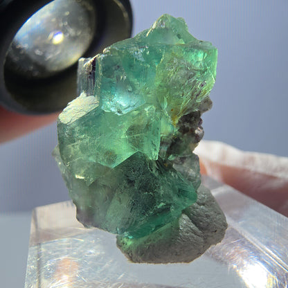 Spécimen de cube de fluorite fantôme, parqueté vert violet Okorusu, Namibie 25*21*14 mm 