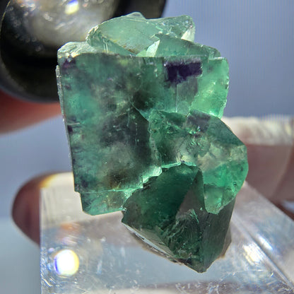 Spécimen de cube de fluorite fantôme, parqueté vert violet Okorusu, Namibie 25*21*14 mm 