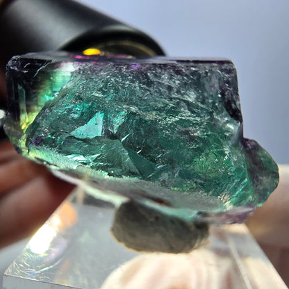 Spécimen de cube de fluorite fantôme, parqueté vert violet Okorusu, Namibie 28*24*22 mm 