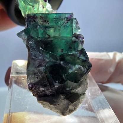 Spécimen de cube de fluorite fantôme, parqueté vert violet Okorusu, Namibie 37*22*13 mm 